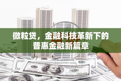 杭州微粒贷，金融科技革新下的普惠金融新篇章