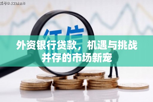 杭州外资银行贷款，机遇与挑战并存的市场新宠