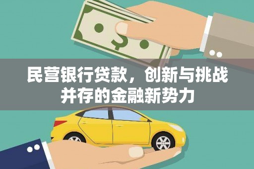 杭州民营银行贷款，创新与挑战并存的金融新势力