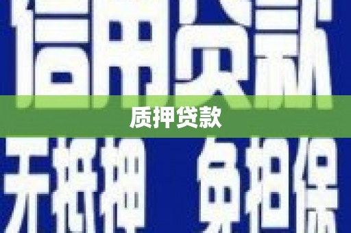 杭州质押贷款
