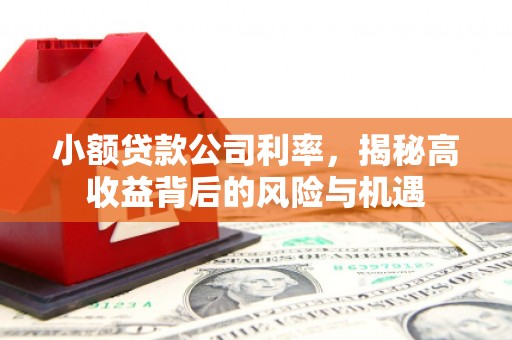 杭州小额贷款公司利率，揭秘高收益背后的风险与机遇