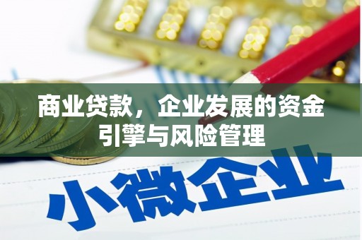 杭州商业贷款，企业发展的资金引擎与风险管理