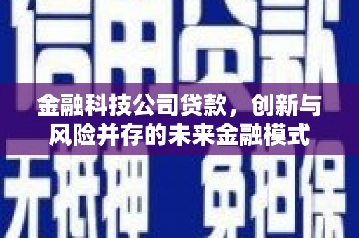 杭州金融科技公司贷款，创新与风险并存的未来金融模式