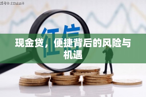 杭州现金贷，便捷背后的风险与机遇