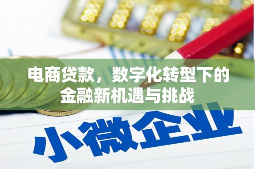 杭州电商贷款，数字化转型下的金融新机遇与挑战