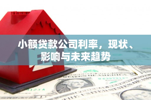 杭州小额贷款公司利率，现状、影响与未来趋势