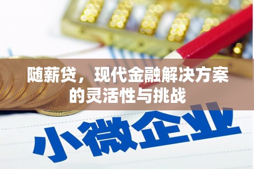 杭州随薪贷，现代金融解决方案的灵活性与挑战