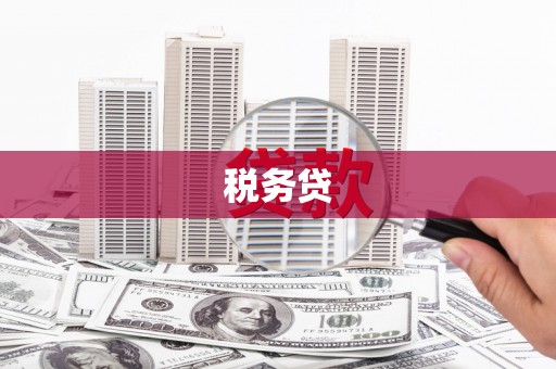 杭州税务贷