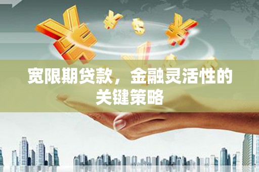 杭州宽限期贷款，金融灵活性的关键策略