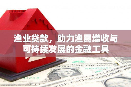 杭州渔业贷款，助力渔民增收与可持续发展的金融工具