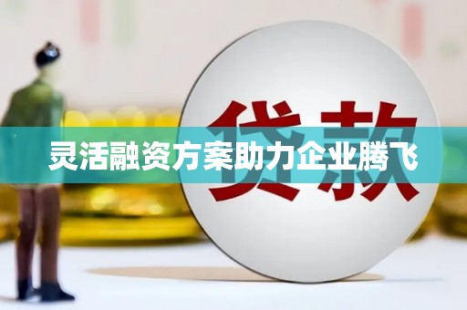 杭州灵活融资方案助力企业腾飞