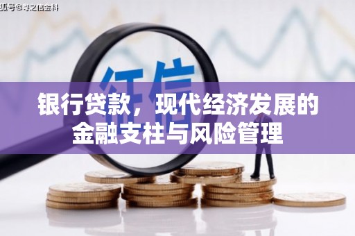 杭州银行贷款，现代经济发展的金融支柱与风险管理