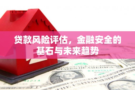 杭州贷款风险评估，金融安全的基石与未来趋势