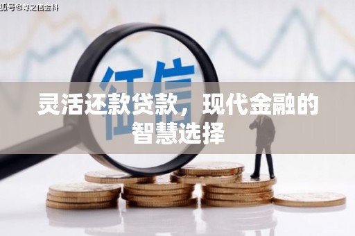 杭州灵活还款贷款，现代金融的智慧选择