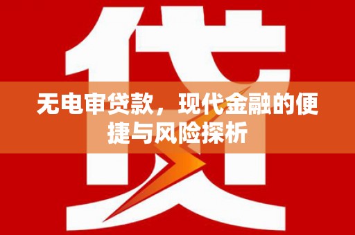 杭州无电审贷款，现代金融的便捷与风险探析
