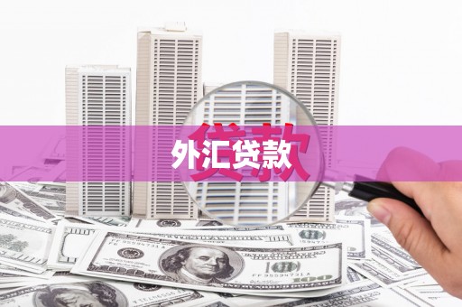 杭州外汇贷款