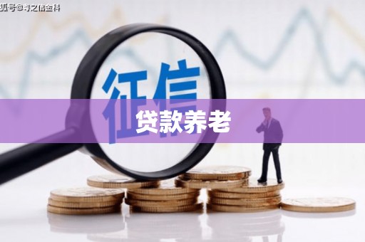 杭州贷款养老