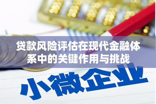 杭州贷款风险评估在现代金融体系中的关键作用与挑战