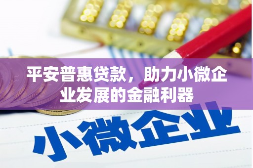 杭州平安普惠贷款，助力小微企业发展的金融利器