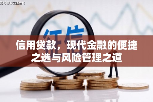杭州信用贷款，现代金融的便捷之选与风险管理之道