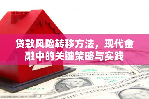 杭州贷款风险转移方法，现代金融中的关键策略与实践