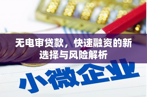 杭州无电审贷款，快速融资的新选择与风险解析