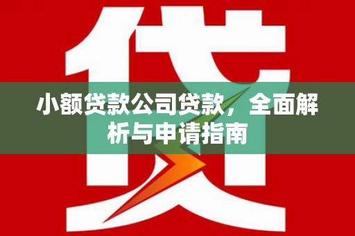 杭州小额贷款公司贷款，全面解析与申请指南