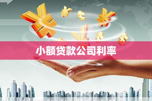 杭州小额贷款公司利率