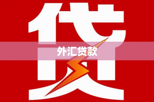 杭州外汇贷款