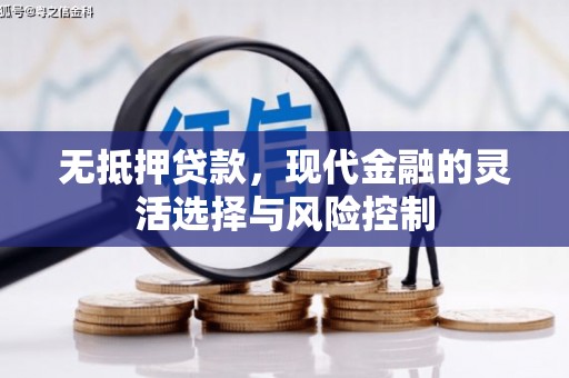 杭州无抵押贷款，现代金融的灵活选择与风险控制