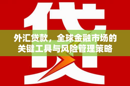 杭州外汇贷款，全球金融市场的关键工具与风险管理策略
