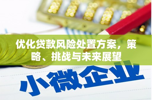 杭州优化贷款风险处置方案，策略、挑战与未来展望