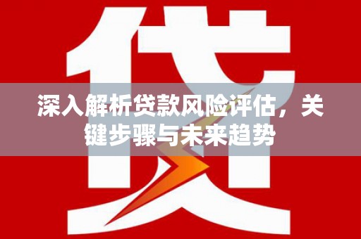 杭州深入解析贷款风险评估，关键步骤与未来趋势