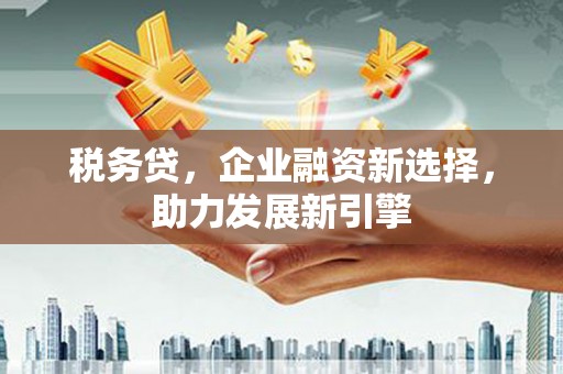 杭州税务贷，企业融资新选择，助力发展新引擎