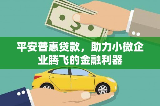 杭州平安普惠贷款，助力小微企业腾飞的金融利器