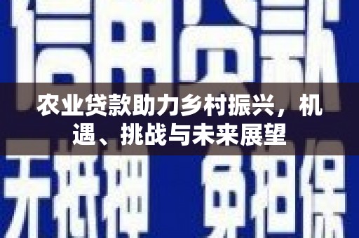 杭州农业贷款助力乡村振兴，机遇、挑战与未来展望