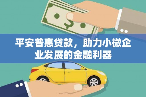 杭州平安普惠贷款，助力小微企业发展的金融利器