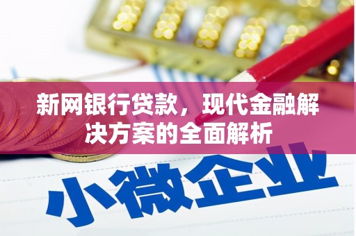 杭州新网银行贷款，现代金融解决方案的全面解析