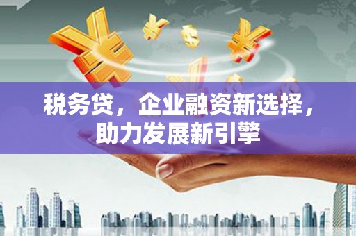 杭州税务贷，企业融资新选择，助力发展新引擎