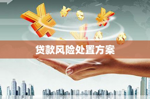 杭州贷款风险处置方案