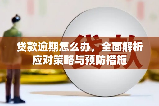 杭州贷款逾期怎么办，全面解析应对策略与预防措施