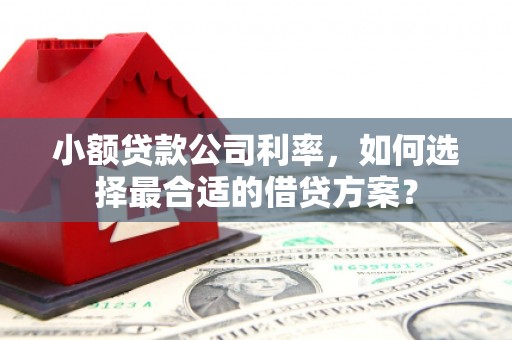 杭州小额贷款公司利率，如何选择最合适的借贷方案？