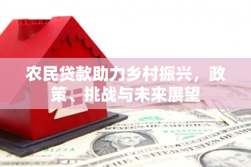 杭州农民贷款助力乡村振兴，政策、挑战与未来展望