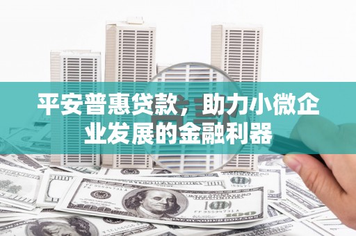 杭州平安普惠贷款，助力小微企业发展的金融利器