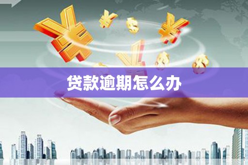 杭州贷款逾期怎么办
