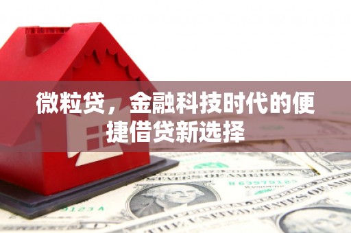 杭州微粒贷，金融科技时代的便捷借贷新选择