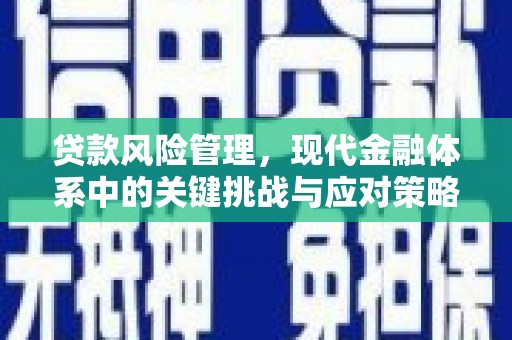 杭州贷款风险管理，现代金融体系中的关键挑战与应对策略