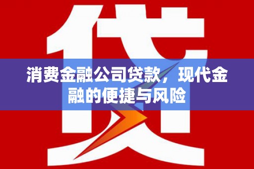杭州消费金融公司贷款，现代金融的便捷与风险