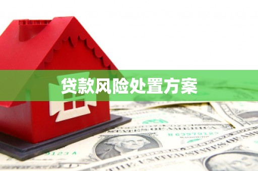 杭州贷款风险处置方案