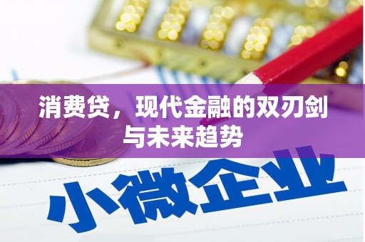 杭州消费贷，现代金融的双刃剑与未来趋势